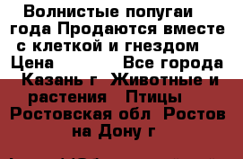 Волнистые попугаи, 2 года.Продаются вместе с клеткой и гнездом. › Цена ­ 2 800 - Все города, Казань г. Животные и растения » Птицы   . Ростовская обл.,Ростов-на-Дону г.